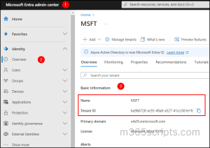 How to Find Microsoft 365 Tenant GUID and Name