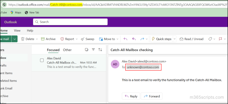 Set Up a Catch-All Email Address in Microsoft 365