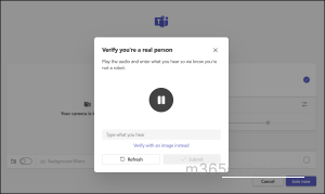 audio-verification-check-for-anonymous-bot-access