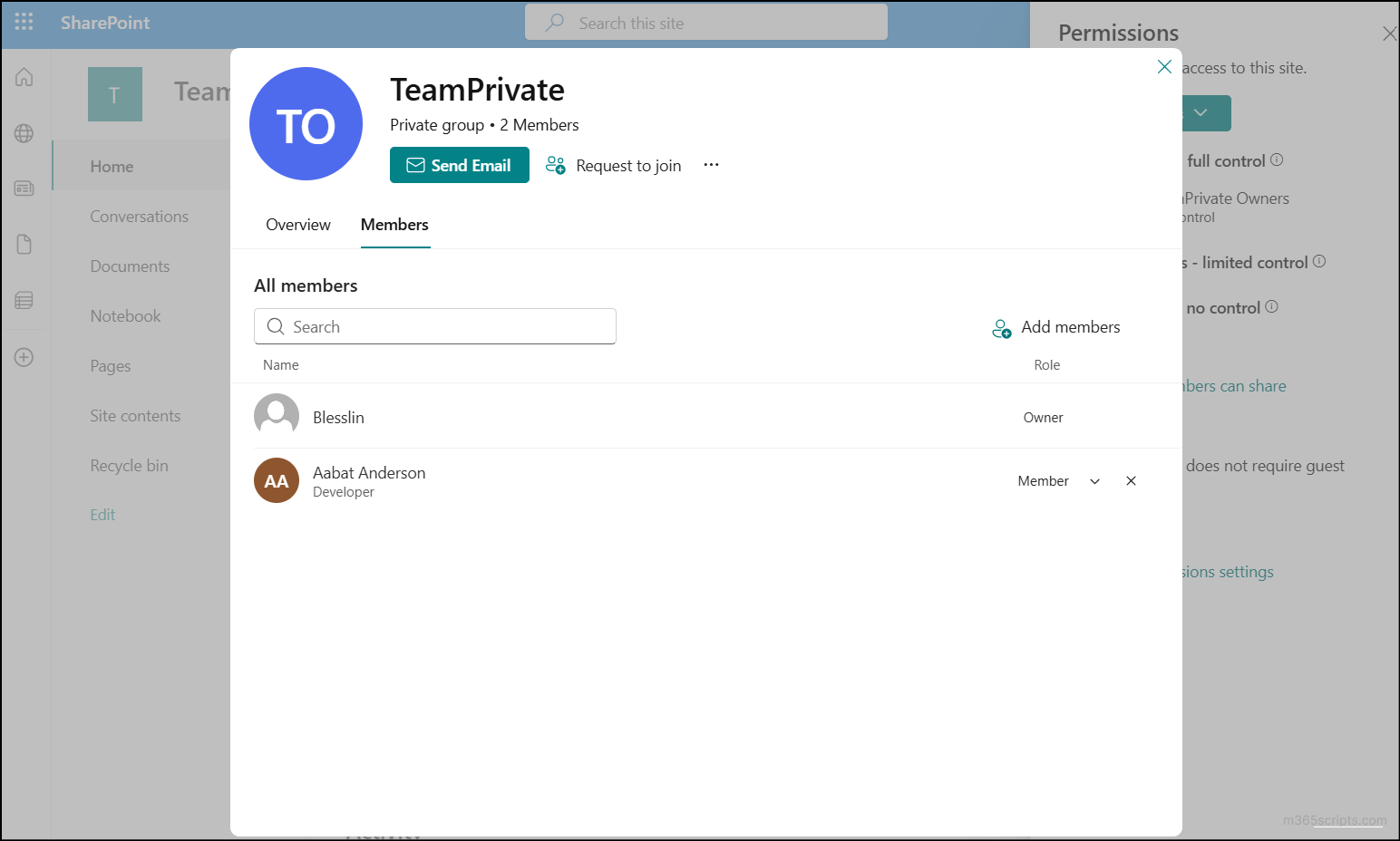 View default group membership in the group connected team site